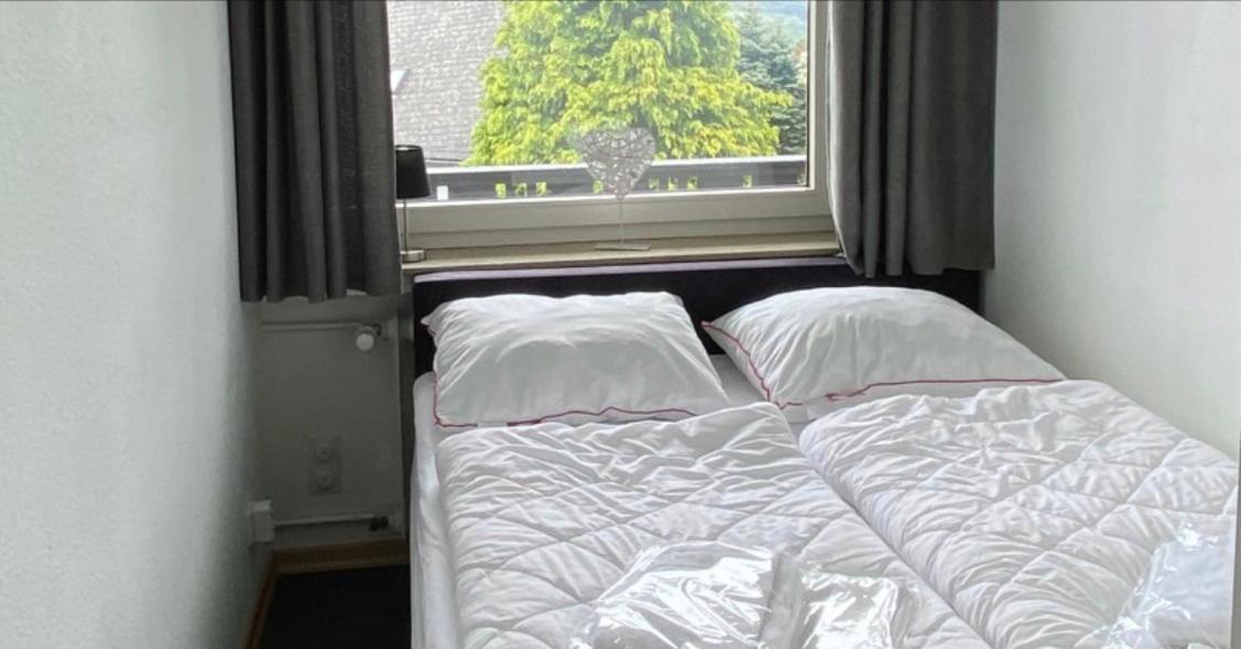 Ferienwohnung Kleine Auszeit Winterberg Fuer 2- 4 Personen Luaran gambar